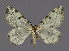  ( - NHMO-DAR-11891)  @13 [ ] CreativeCommons - Attribution Non-Commercial Share-Alike (2017) Unspecified University of Oslo, Natural History Museum