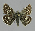  ( - NHMO-DAR-11936)  @13 [ ] CreativeCommons - Attribution Non-Commercial Share-Alike (2017) Unspecified University of Oslo, Natural History Museum