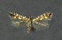  ( - NHMO-DAR-11953)  @11 [ ] CreativeCommons - Attribution Non-Commercial Share-Alike (2017) Unspecified University of Oslo, Natural History Museum