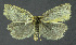  ( - NHMO-DAR-11985)  @11 [ ] CreativeCommons - Attribution Non-Commercial Share-Alike (2017) Unspecified University of Oslo, Natural History Museum