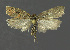  ( - NHMO-DAR-11986)  @13 [ ] CreativeCommons - Attribution Non-Commercial Share-Alike (2017) Unspecified University of Oslo, Natural History Museum
