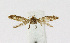  ( - NHMO-DAR-12024)  @13 [ ] CreativeCommons - Attribution Non-Commercial Share-Alike (2017) Unspecified University of Oslo, Natural History Museum