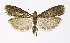  ( - NHMO-DAR-12026)  @14 [ ] CreativeCommons - Attribution Non-Commercial Share-Alike (2017) Unspecified University of Oslo, Natural History Museum