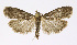  ( - NHMO-DAR-12028)  @14 [ ] CreativeCommons - Attribution Non-Commercial Share-Alike (2017) Unspecified University of Oslo, Natural History Museum
