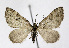  ( - NHMO-DAR-12067)  @14 [ ] CreativeCommons - Attribution Non-Commercial Share-Alike (2017) Unspecified University of Oslo, Natural History Museum