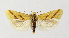  ( - NHMO-DAR-13491)  @11 [ ] CreativeCommons - Attribution Non-Commercial Share-Alike (2017) Unspecified University of Oslo, Natural History Museum