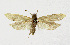  ( - NHMO-DAR-13492)  @11 [ ] CreativeCommons - Attribution Non-Commercial Share-Alike (2017) Unspecified University of Oslo, Natural History Museum