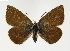  ( - NHMO-DAR-13508)  @14 [ ] CreativeCommons - Attribution Non-Commercial Share-Alike (2017) Unspecified University of Oslo, Natural History Museum