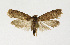  ( - NHMO-DAR-13510)  @11 [ ] CreativeCommons - Attribution Non-Commercial Share-Alike (2017) Unspecified University of Oslo, Natural History Museum