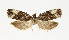  ( - NHMO-DAR-13528)  @11 [ ] CreativeCommons - Attribution Non-Commercial Share-Alike (2017) Unspecified University of Oslo, Natural History Museum