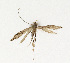  ( - NHMO-DAR-13551)  @11 [ ] CreativeCommons - Attribution Non-Commercial Share-Alike (2017) Unspecified University of Oslo, Natural History Museum