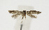  ( - NHMO-DAR-13616)  @11 [ ] CreativeCommons - Attribution Non-Commercial Share-Alike (2017) Unspecified University of Oslo, Natural History Museum