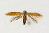  ( - NHMO-DAR-12533)  @11 [ ] CreativeCommons - Attribution Non-Commercial Share-Alike (2017) Unspecified University of Oslo, Natural History Museum