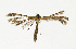  ( - NHMO-DAR-13631)  @11 [ ] CreativeCommons - Attribution Non-Commercial Share-Alike (2017) Unspecified University of Oslo, Natural History Museum