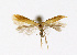  ( - NHMO-DAR-12534)  @11 [ ] CreativeCommons - Attribution Non-Commercial Share-Alike (2017) Unspecified University of Oslo, Natural History Museum