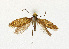  ( - NHMO-DAR-12789)  @11 [ ] CreativeCommons - Attribution Non-Commercial Share-Alike (2017) Unspecified University of Oslo, Natural History Museum