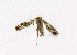  ( - NHMO-DAR-12814)  @12 [ ] CreativeCommons - Attribution Non-Commercial Share-Alike (2017) Unspecified University of Oslo, Natural History Museum