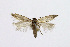  ( - NHMO-DAR-13666)  @13 [ ] CreativeCommons - Attribution Non-Commercial Share-Alike (2017) Unspecified University of Oslo, Natural History Museum