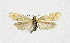  ( - NHMO-DAR-13672)  @11 [ ] CreativeCommons - Attribution Non-Commercial Share-Alike (2017) Unspecified University of Oslo, Natural History Museum