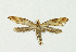  ( - NHMO-DAR-13680)  @13 [ ] CreativeCommons - Attribution Non-Commercial Share-Alike (2017) Unspecified University of Oslo, Natural History Museum