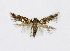  ( - NHMO-DAR-13684)  @13 [ ] CreativeCommons - Attribution Non-Commercial Share-Alike (2017) Unspecified University of Oslo, Natural History Museum