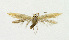  ( - NHMO-DAR-13708)  @12 [ ] CreativeCommons - Attribution Non-Commercial Share-Alike (2017) Unspecified University of Oslo, Natural History Museum