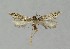  ( - NHMO-DAR-13966)  @12 [ ] CreativeCommons - Attribution Non-Commercial Share-Alike (2017) Unspecified University of Oslo, Natural History Museum