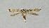  ( - NHMO-DAR-14019)  @11 [ ] CreativeCommons - Attribution Non-Commercial Share-Alike (2017) Unspecified University of Oslo, Natural History Museum