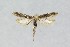  ( - NHMO-DAR-14033)  @13 [ ] CreativeCommons - Attribution Non-Commercial Share-Alike (2017) Unspecified University of Oslo, Natural History Museum