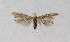  ( - NHMO-DAR-14036)  @13 [ ] CreativeCommons - Attribution Non-Commercial Share-Alike (2017) Unspecified University of Oslo, Natural History Museum