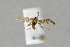  ( - NHMO-DAR-14083)  @11 [ ] CreativeCommons - Attribution Non-Commercial Share-Alike (2017) Unspecified University of Oslo, Natural History Museum
