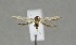  ( - NHMO-DAR-14089)  @12 [ ] CreativeCommons - Attribution Non-Commercial Share-Alike (2017) Unspecified University of Oslo, Natural History Museum