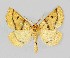  ( - NHMO-DAR-14098)  @14 [ ] CreativeCommons - Attribution Non-Commercial Share-Alike (2017) Unspecified University of Oslo, Natural History Museum