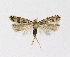  ( - NHMO-DAR-14595)  @11 [ ] CreativeCommons - Attribution Non-Commercial Share-Alike (2018) Unspecified University of Oslo, Natural History Museum
