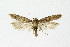  ( - NHMO-DAR-14598)  @14 [ ] CreativeCommons - Attribution Non-Commercial Share-Alike (2018) Unspecified University of Oslo, Natural History Museum