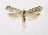  ( - NHMO-DAR-14622)  @11 [ ] CreativeCommons - Attribution Non-Commercial Share-Alike (2018) Unspecified University of Oslo, Natural History Museum