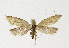  ( - NHMO-DAR-12571)  @14 [ ] CreativeCommons - Attribution Non-Commercial Share-Alike (2017) Unspecified University of Oslo, Natural History Museum