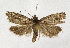  ( - NHMO-DAR-12578)  @13 [ ] CreativeCommons - Attribution Non-Commercial Share-Alike (2017) Unspecified University of Oslo, Natural History Museum
