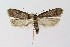  ( - NHMO-DAR-14980)  @11 [ ] CreativeCommons - Attribution Non-Commercial Share-Alike (2018) Unspecified University of Oslo, Natural History Museum