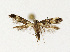  ( - NHMO-DAR-12589)  @13 [ ] CreativeCommons - Attribution Non-Commercial Share-Alike (2017) Unspecified University of Oslo, Natural History Museum