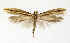  ( - NHMO-DAR-12611)  @14 [ ] CreativeCommons - Attribution Non-Commercial Share-Alike (2017) Unspecified University of Oslo, Natural History Museum