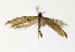  ( - NHMO-DAR-12612)  @11 [ ] CreativeCommons - Attribution Non-Commercial Share-Alike (2017) Unspecified University of Oslo, Natural History Museum