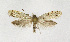  ( - NHMO-DAR-12630)  @13 [ ] CreativeCommons - Attribution Non-Commercial Share-Alike (2017) Unspecified University of Oslo, Natural History Museum