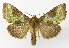  ( - NHMO-DAR-12656)  @14 [ ] CreativeCommons - Attribution Non-Commercial Share-Alike (2017) Unspecified University of Oslo, Natural History Museum