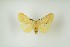  ( - NHMO-DAR-8226)  @12 [ ] CreativeCommons - Attribution Non-Commercial Share-Alike (2016) Unspecified University of Oslo, Natural History Museum