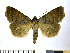  ( - NHMO-DAR-10268)  @14 [ ] CreativeCommons - Attribution Non-Commercial Share-Alike (2016) Unspecified University of Oslo, Natural History Museum