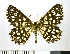  ( - NHMO-DAR-10291)  @14 [ ] CreativeCommons - Attribution Non-Commercial Share-Alike (2016) Unspecified University of Oslo, Natural History Museum