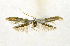  ( - NHMO-DAR-10302)  @13 [ ] CreativeCommons - Attribution Non-Commercial Share-Alike (2016) Unspecified University of Oslo, Natural History Museum