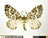  ( - NHMO-DAR-10306)  @13 [ ] CreativeCommons - Attribution Non-Commercial Share-Alike (2016) Unspecified University of Oslo, Natural History Museum