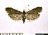  ( - NHMO-DAR-10307)  @14 [ ] CreativeCommons - Attribution Non-Commercial Share-Alike (2016) Unspecified University of Oslo, Natural History Museum